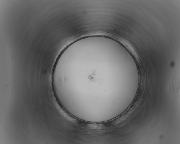 X0000094170805200711241529