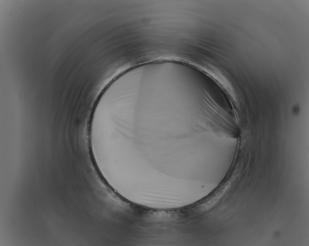 X0000094170806200711241529