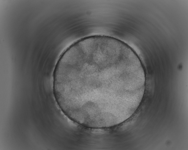 X0000094170807200711241529