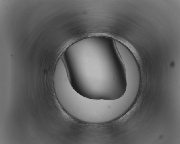 X0000094170809200711241529