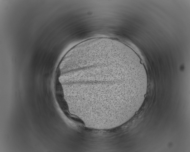 X0000094170811200711241529