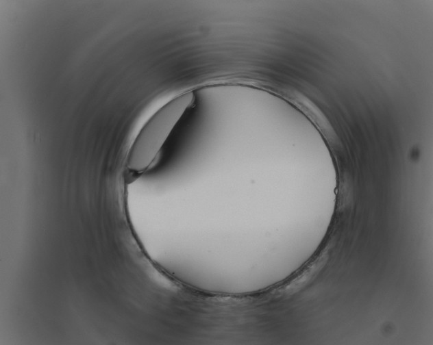 X0000094170812200711241529