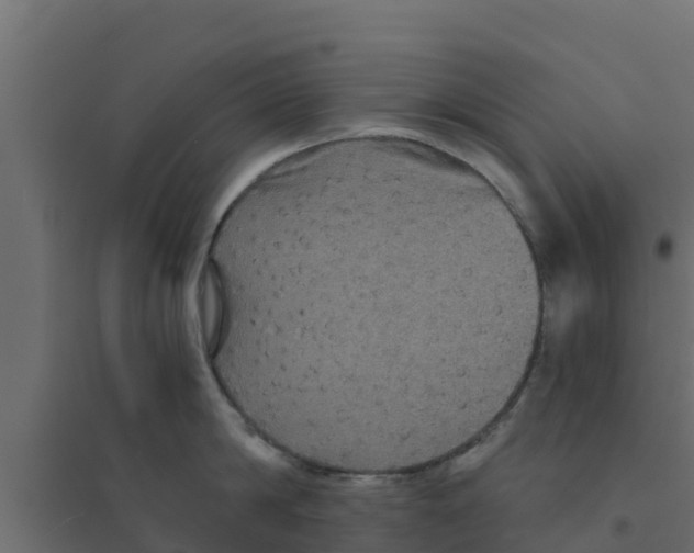 X0000094170814200711241529