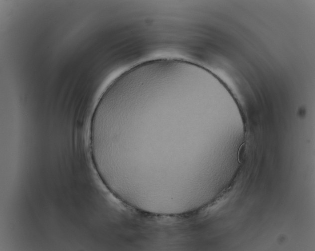 X0000094170815200711241529
