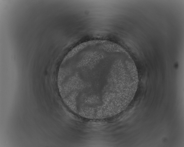 X0000094170817200711241528