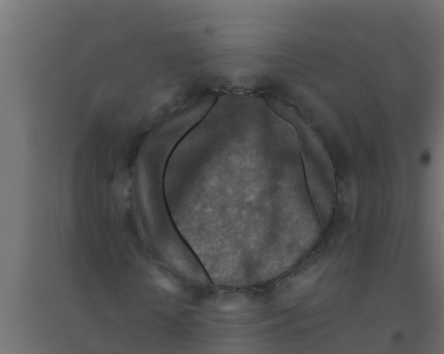 X0000094170818200711241528