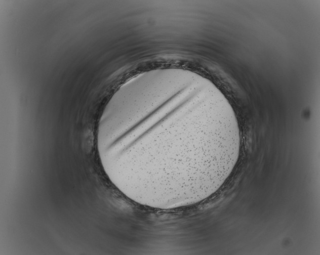 X0000094170821200711241528