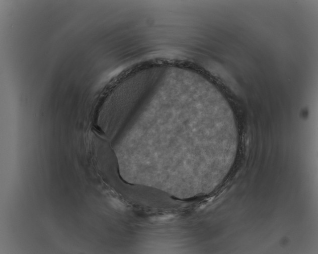 X0000094170822200711241528