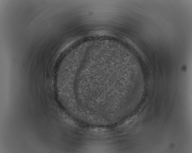 X0000094170823200711241528
