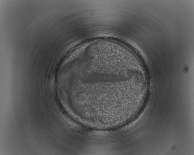 X0000094170825200711241528
