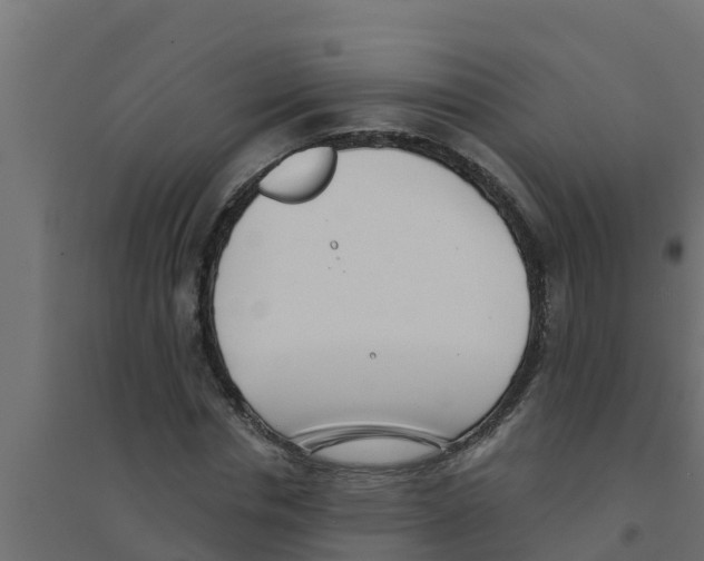 X0000094170826200711241528