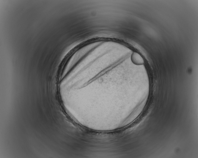 X0000094170829200711241528