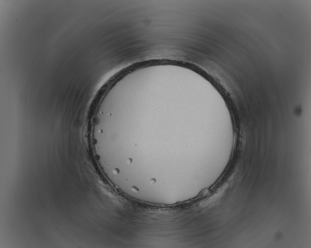 X0000094170830200711241528