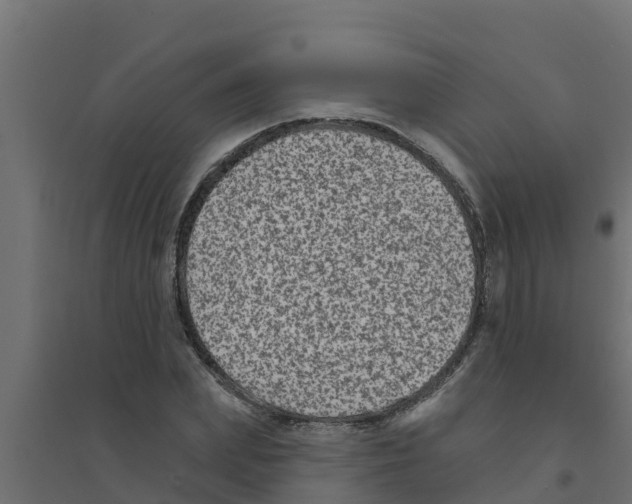 X0000094170831200711241528