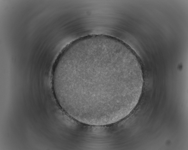 X0000094170832200711241528