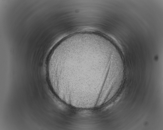 X0000094170835200711241528