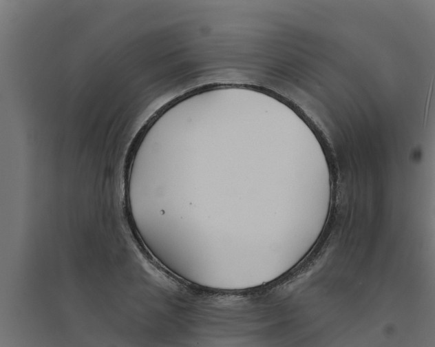 X0000094170837200711241528