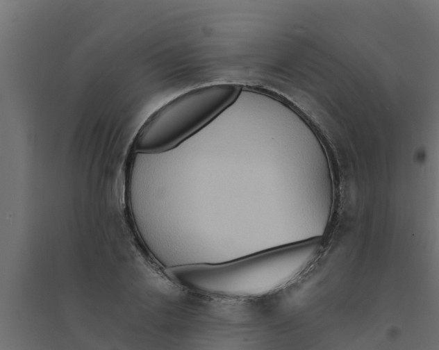 X0000094170838200711241528