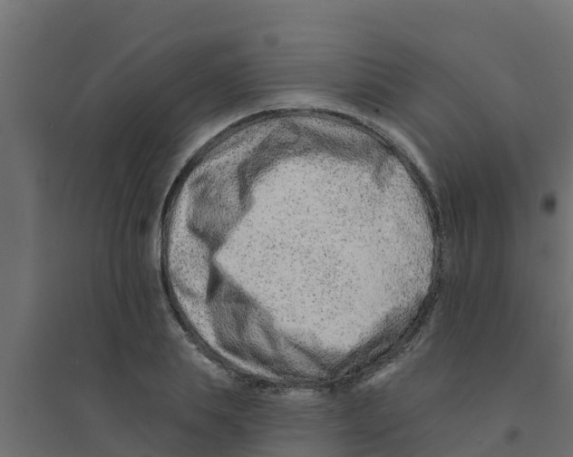 X0000094170839200711241528