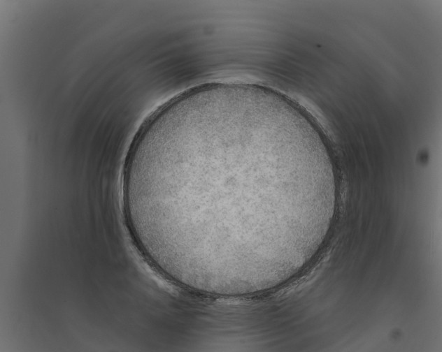 X0000094170840200711241528