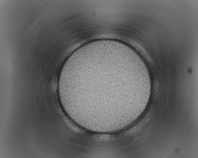 X0000094170841200711241528