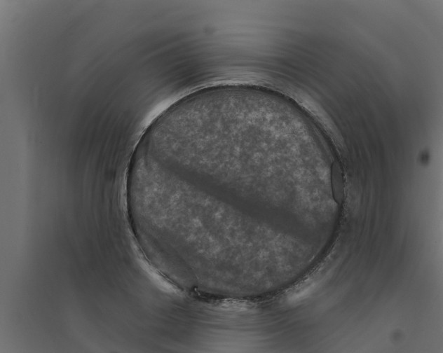 X0000094170842200711241528