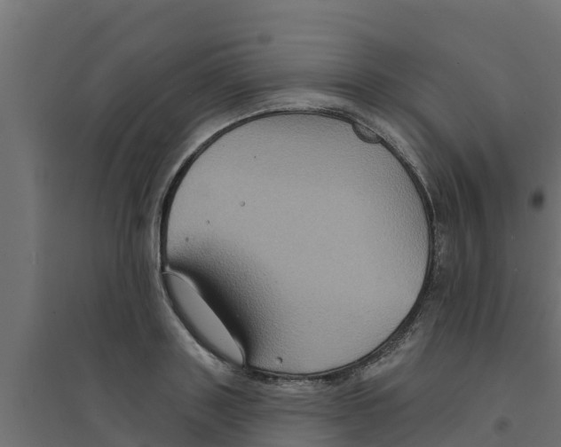 X0000094170843200711241528