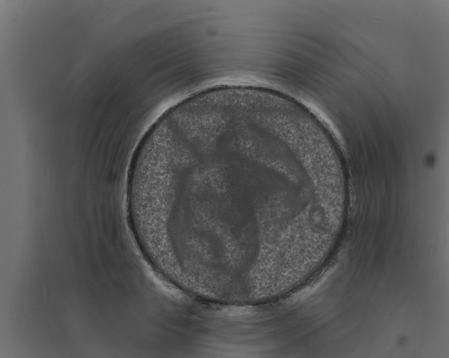X0000094170845200711241528