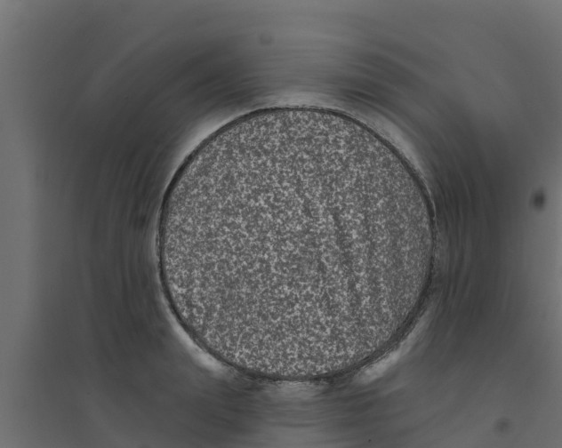X0000094170847200711241528