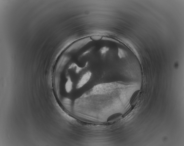 X0000094170851200711241528