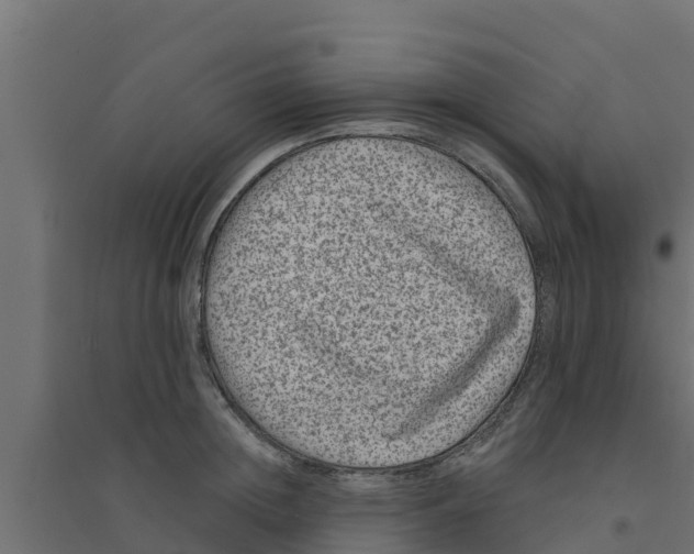 X0000094170852200711241528