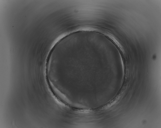 X0000094170853200711241528