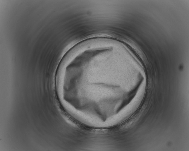 X0000094170858200711241528