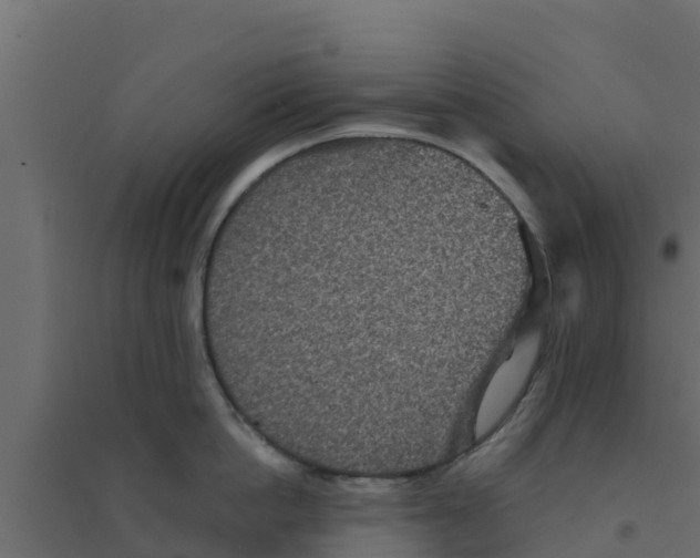 X0000094170862200711241529