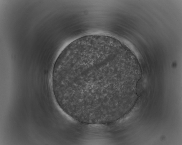 X0000094170863200711241529