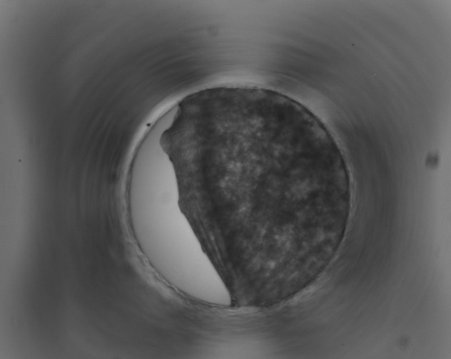 X0000094170864200711241529