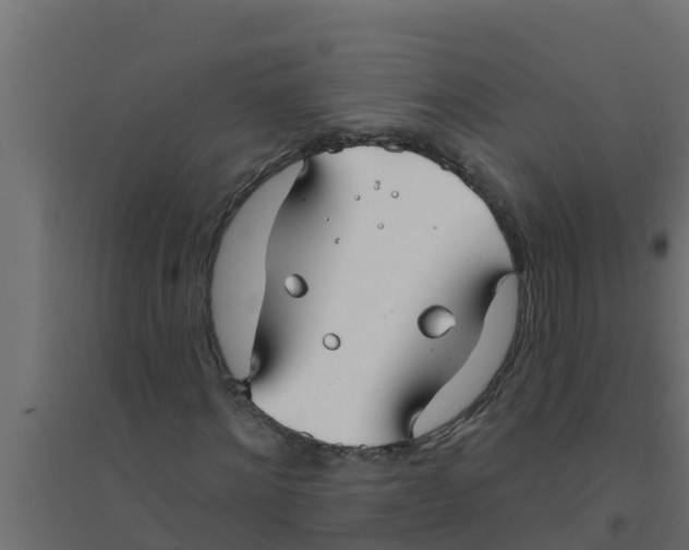 X0000094170868200711241528