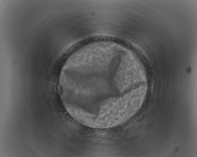 X0000094170870200711241528