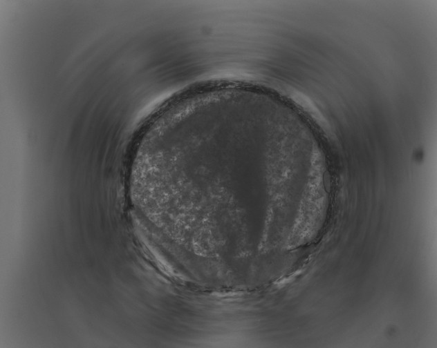 X0000094170872200711241528