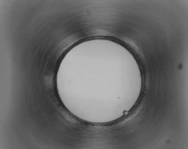 X0000094170873200711241528