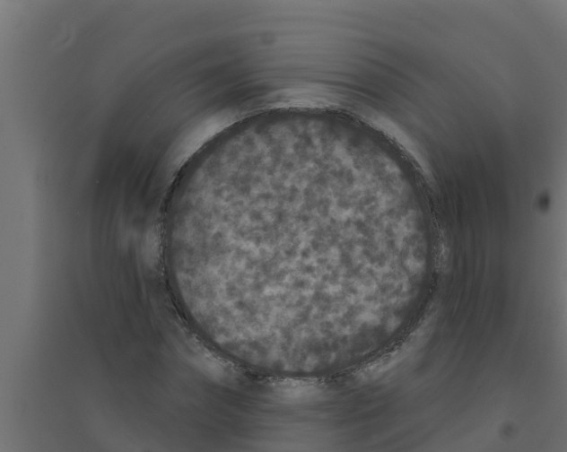 X0000094170874200711241528