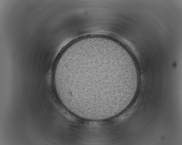 X0000094170875200711241528