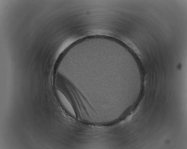 X0000094170877200711241528
