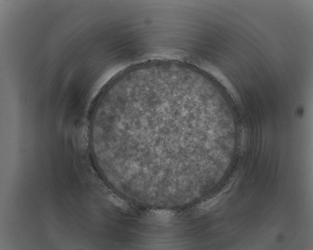 X0000094170878200711241528