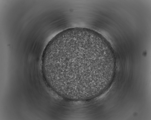 X0000094170879200711241528