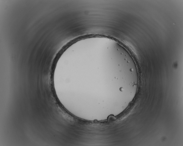 X0000094170880200711241528