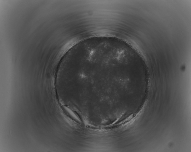 X0000094170881200711241528