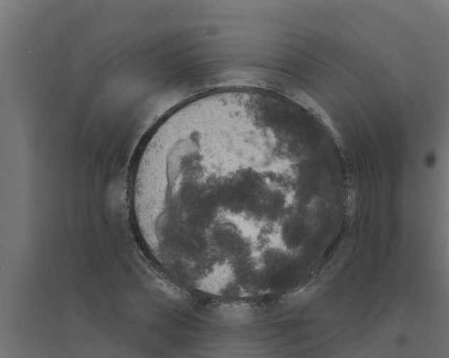 X0000094170882200711241528
