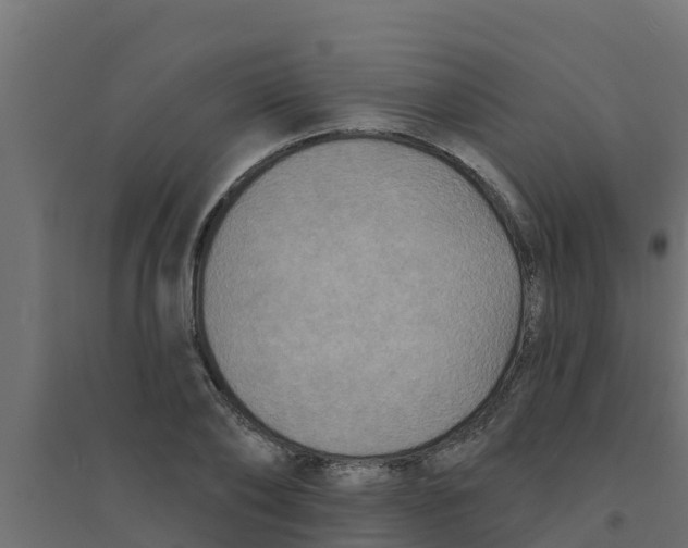 X0000094170886200711241528