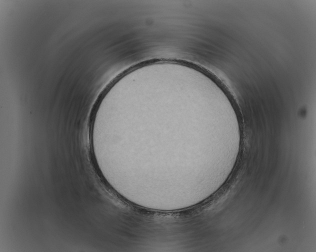 X0000094170887200711241528